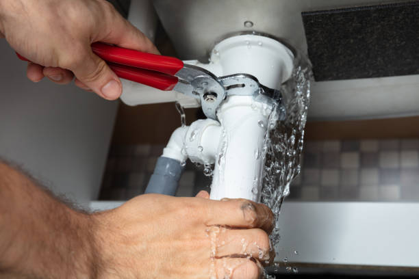 Best Flood damage cleanup  in Weston, MO