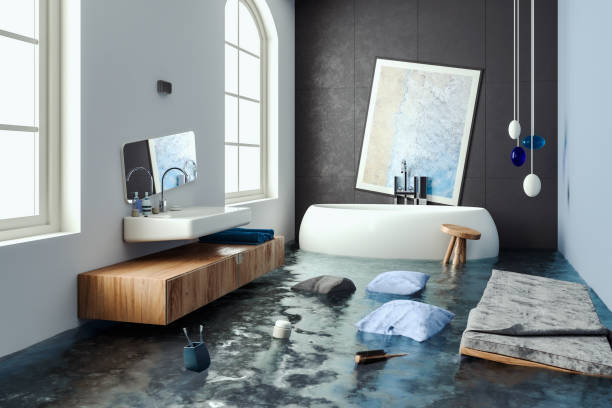 Weston, MO Water damage restoration Company