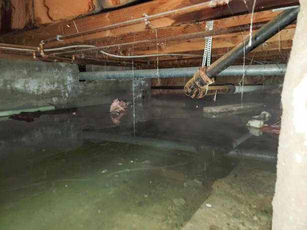 Best Fire Damage Restoration  in Weston, MO