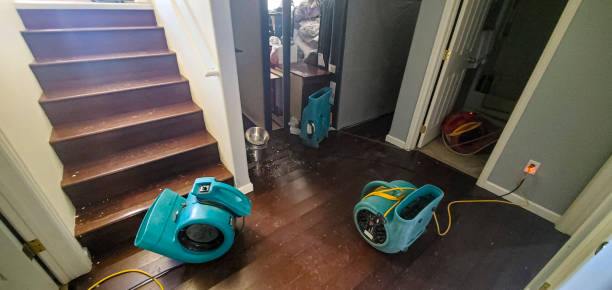 Best Flood restoration services  in Weston, MO