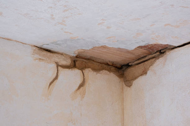 Best Local water damage restoration  in Weston, MO