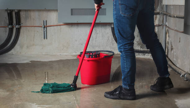 Best Basement water damage restoration  in Weston, MO