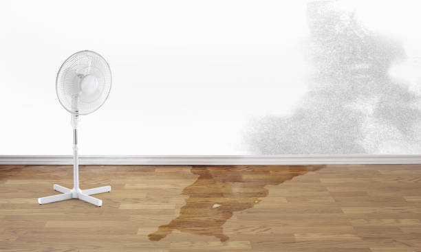 Water damage restoration mold remediation in Weston, MO