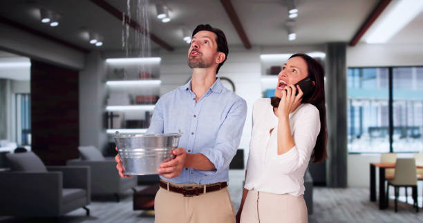 Best Mold removal after water damage  in Weston, MO