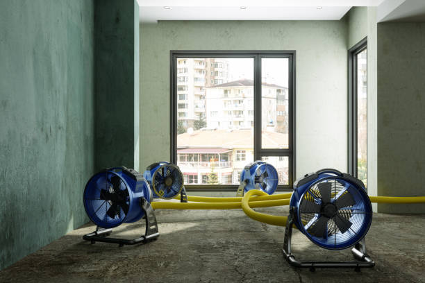 Best Water damage repair service  in Weston, MO